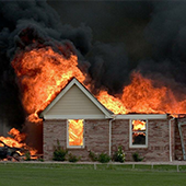 Bushfire-2