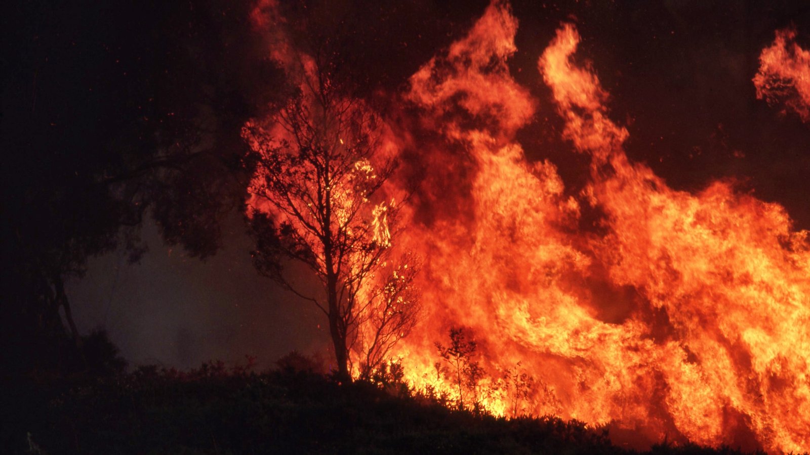 Bushfire Protection