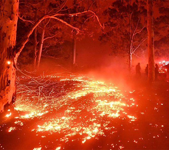 Bushfire Protection
